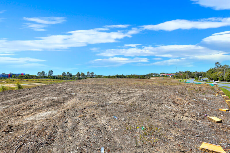 Vivid Productions Commercial Photography and Videography Vacant Land - Close-up View of Clearing